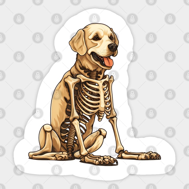 Golden retriever skull new arrivals
